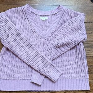 Everlane Women's V-Neck Sweater in Soft Lavender